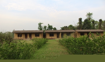 Bardia Jungle Resort: Best resort in Bardia