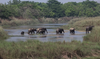 Bardia Jungle Safari